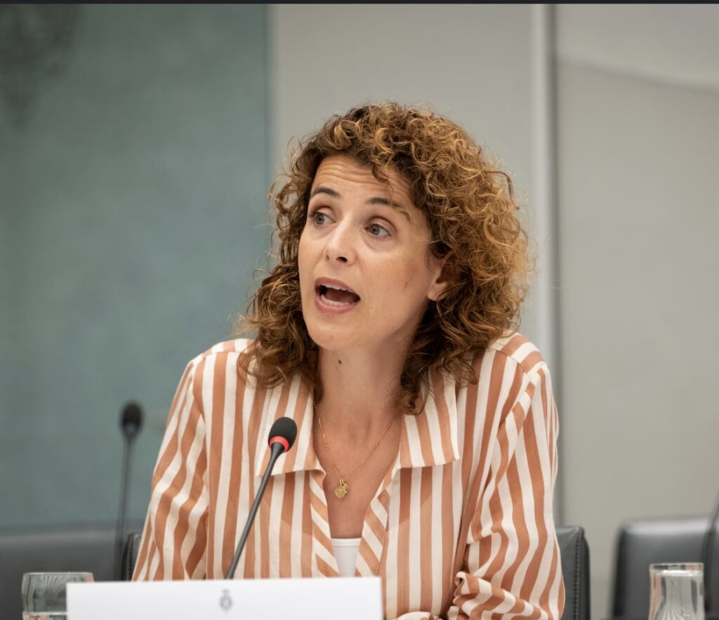 Minister Hermans: volatiliteit groothandelsprijs belangrijk voor prikkel batterijen